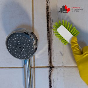 What You Should Do About Bathroom Mold | Mold Removal